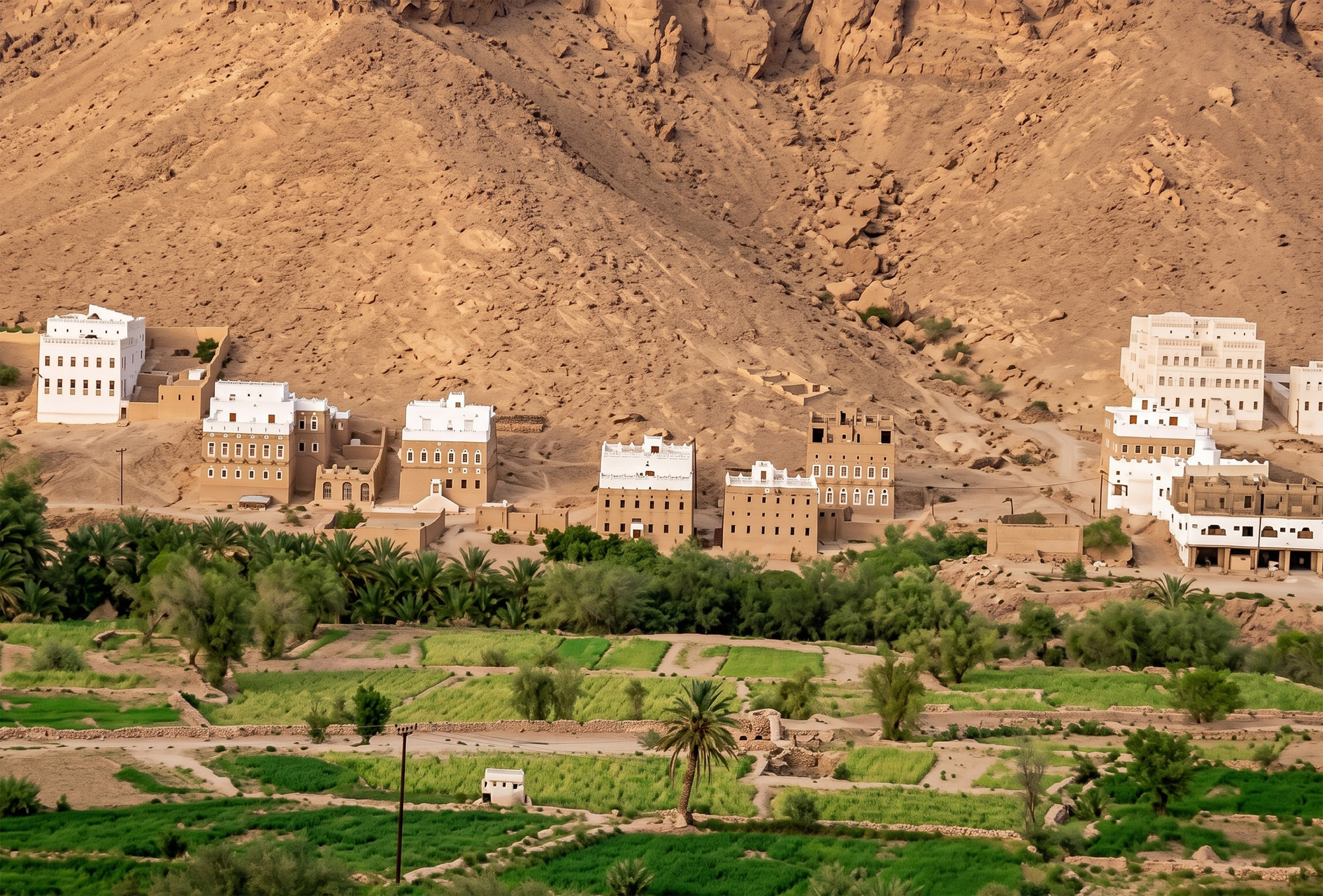صورة 4